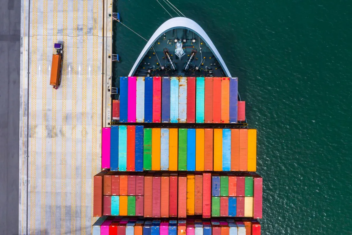 serbest bölgede şirket kuruluşu