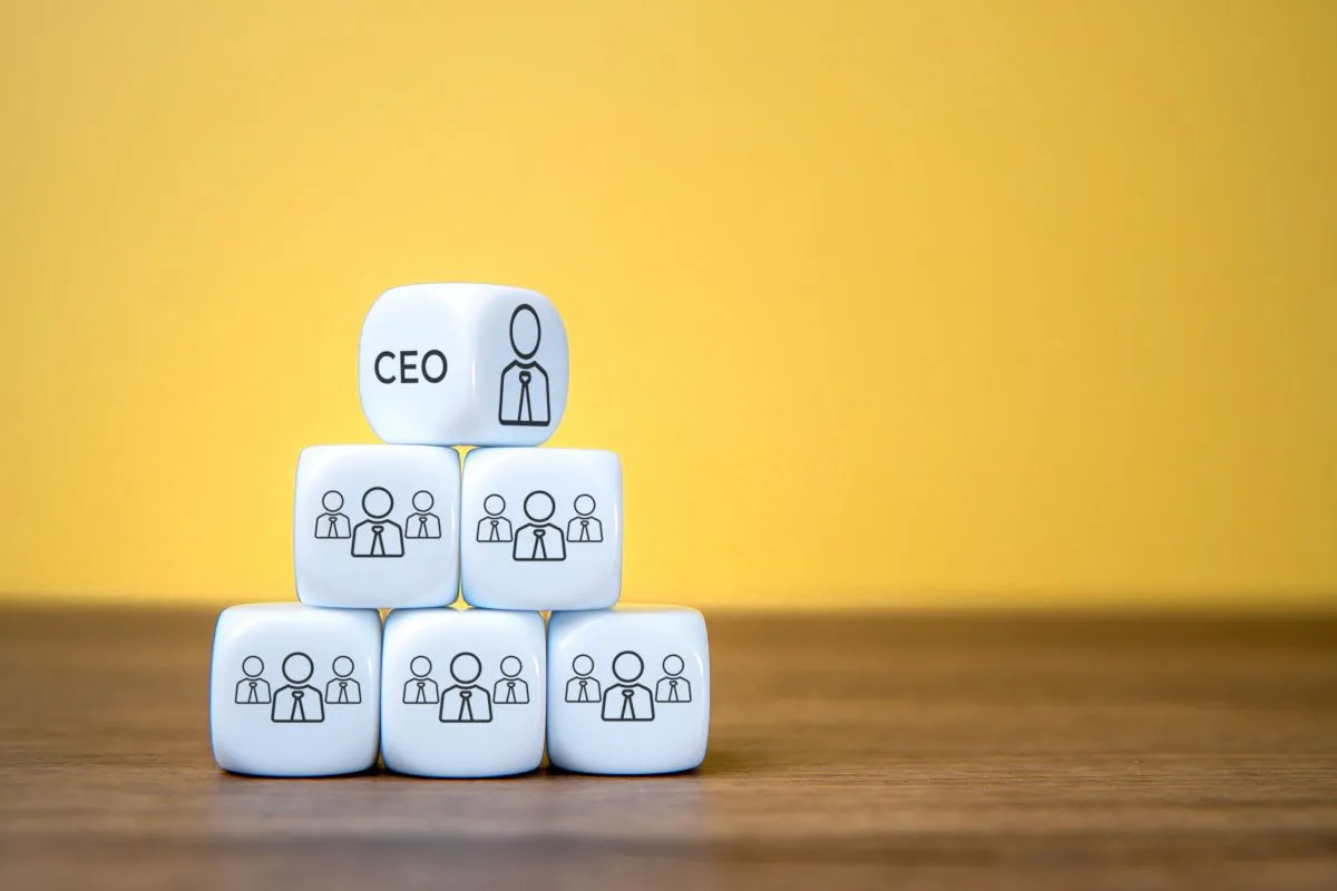 limited şirket kuruluşu