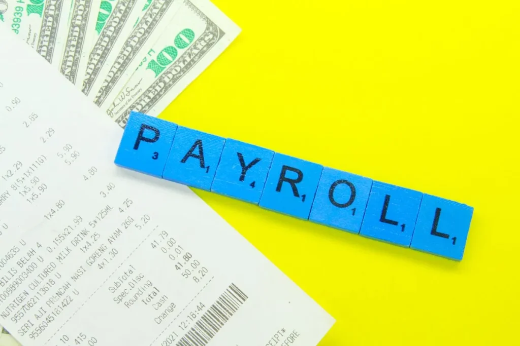 Payroll Services in Türkiye