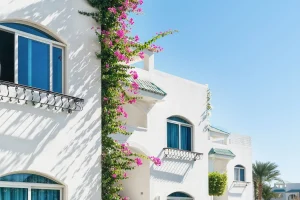 Real Estate Company Formation in Türkiye